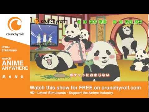 Shirokuma Cafe Shirokuma Cafe