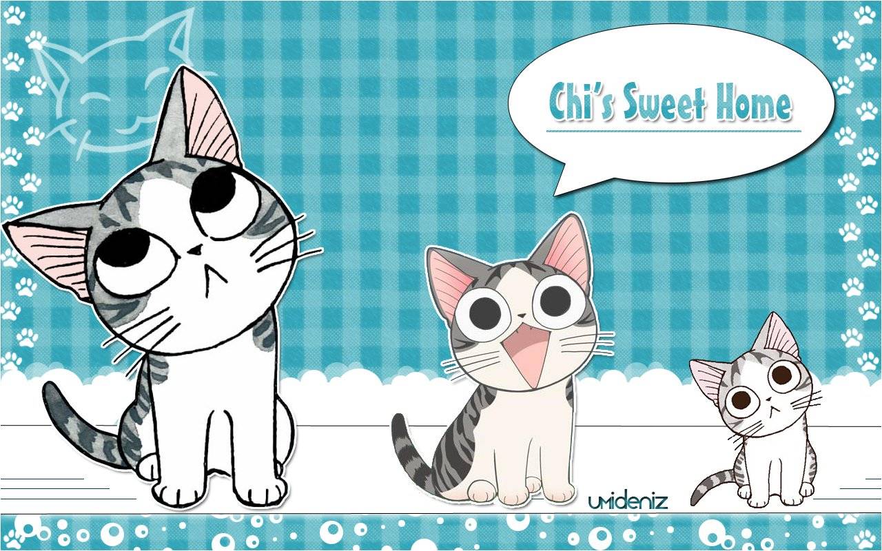 Mái Ấm Của Mèo Chi Mái Ấm Của Mèo Chi