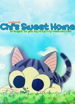 Mái Ấm Của Mèo Chi