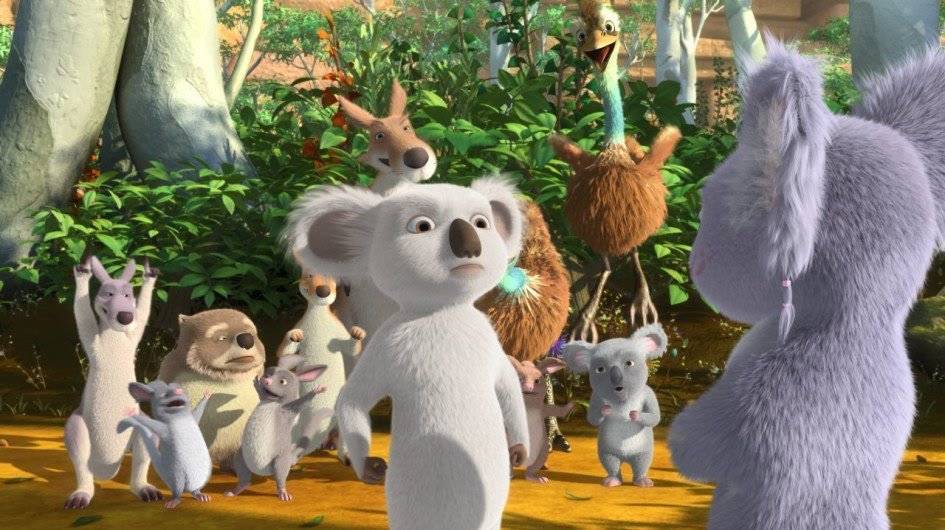 Chú Koala Trắng Chú Koala Trắng