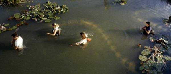 Rắn Khổng Lồ 2: Truy Tìm Huyết Lan Rắn Khổng Lồ 2: Truy Tìm Huyết Lan