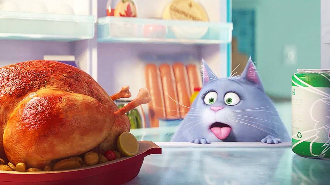 Thú Cưng Nổi Loạn Thú Cưng Nổi Loạn