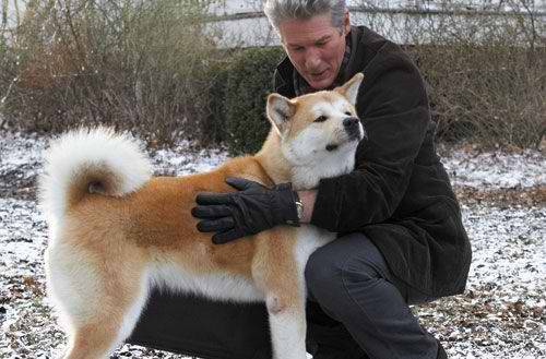 Chú Chó Hachiko Chú Chó Hachiko