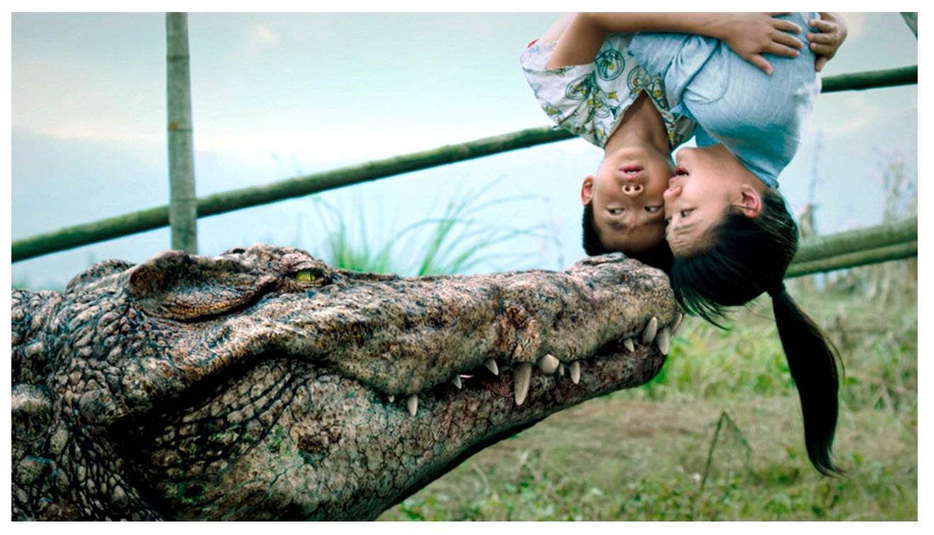 Cá Sấu Triệu Đô Cá Sấu Triệu Đô