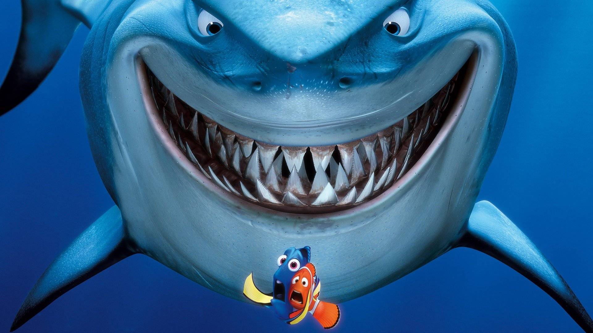 Đi Tìm Nemo Đi Tìm Nemo