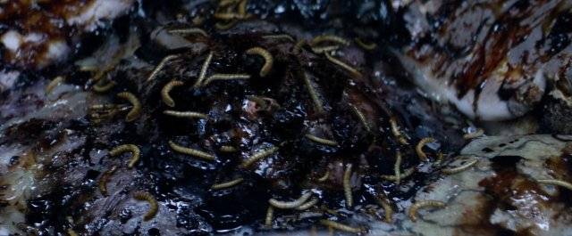 Căn Bệnh Quái Ác 2 Căn Bệnh Quái Ác 2