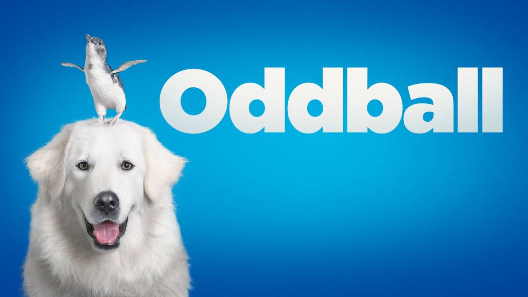 Chú Chó OddBall Chú Chó OddBall
