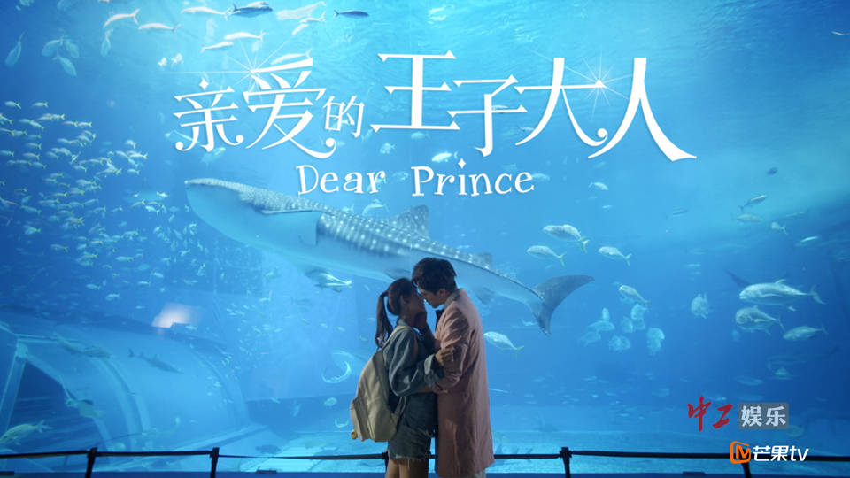 Chàng Hoàng Tử Tôi Yêu Chàng Hoàng Tử Tôi Yêu