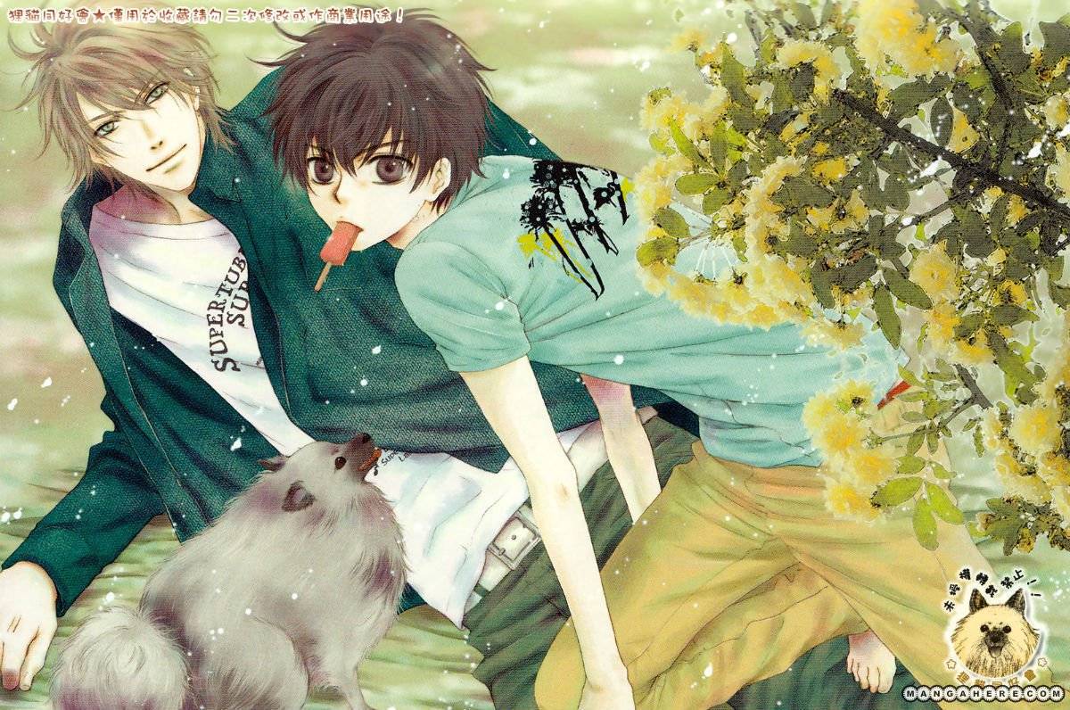 Super Lovers (2016) Super Lovers (2016)