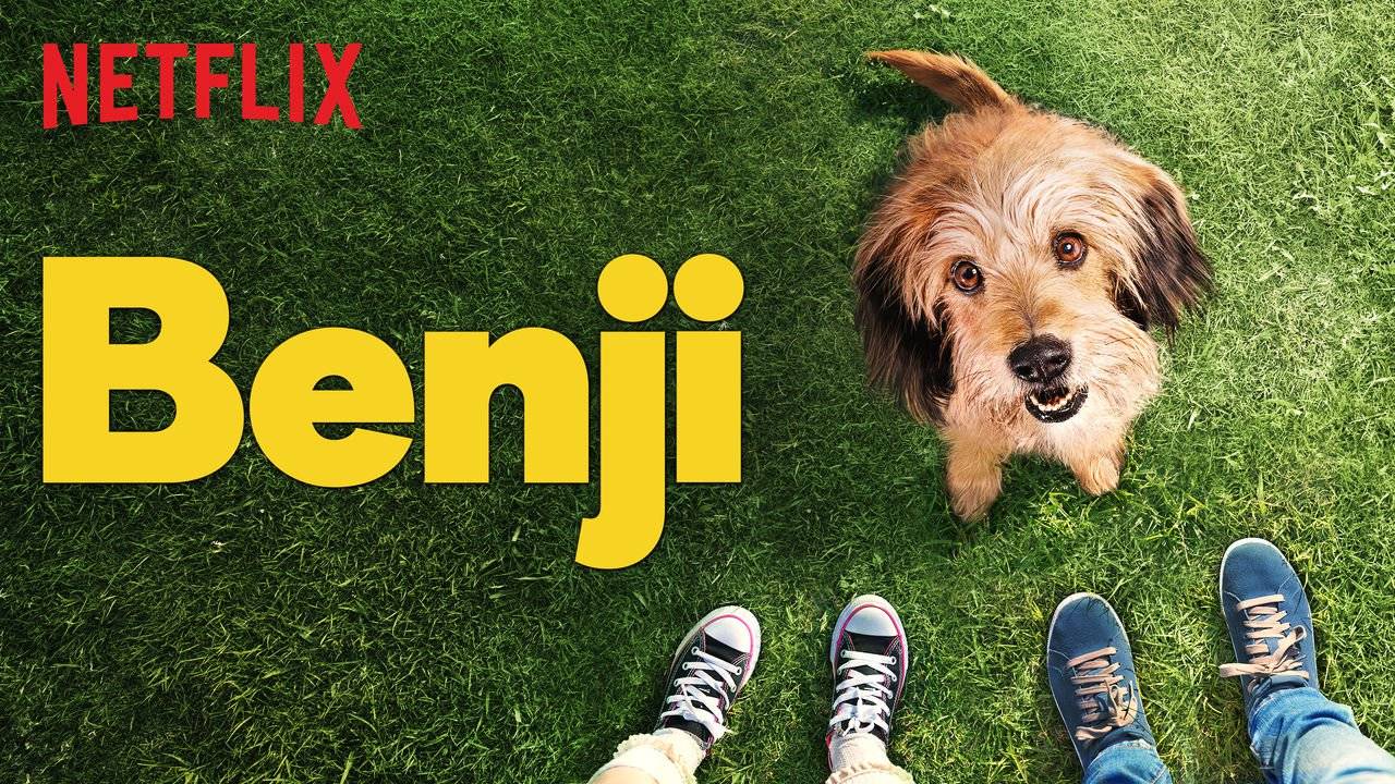 Chú Chó Dũng Cảm Chú Chó Dũng Cảm