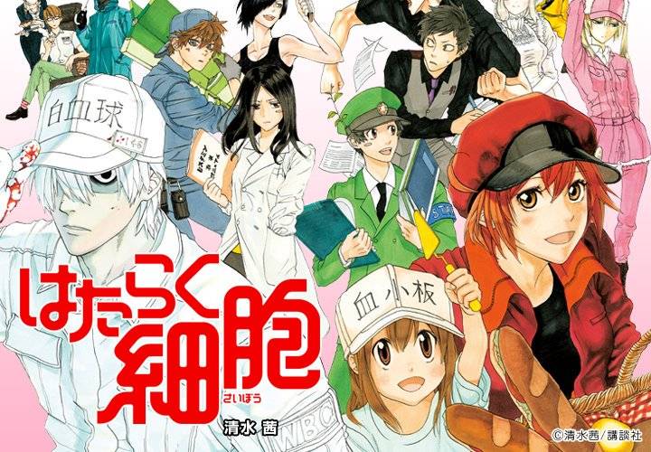 Hataraku Saibou TV Hataraku Saibou TV