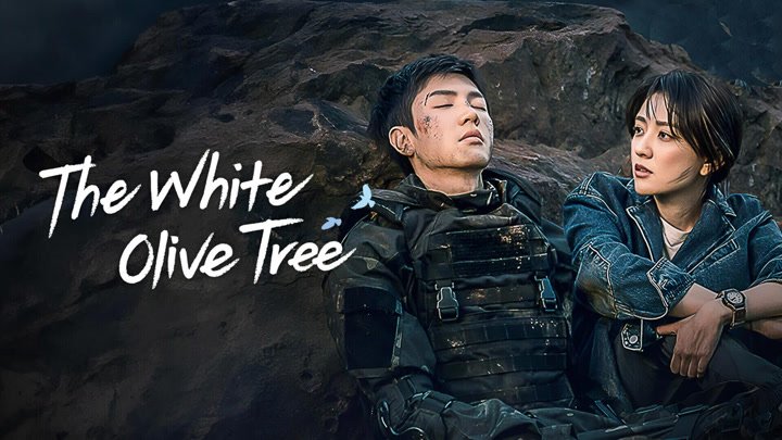 Cây Ô Liu Màu Trắng Cây Ô Liu Màu Trắng